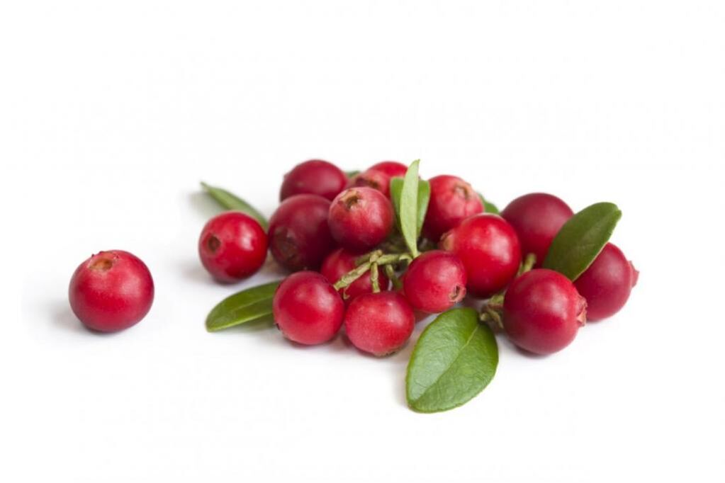 Cranberry - Prostalin Zutaten